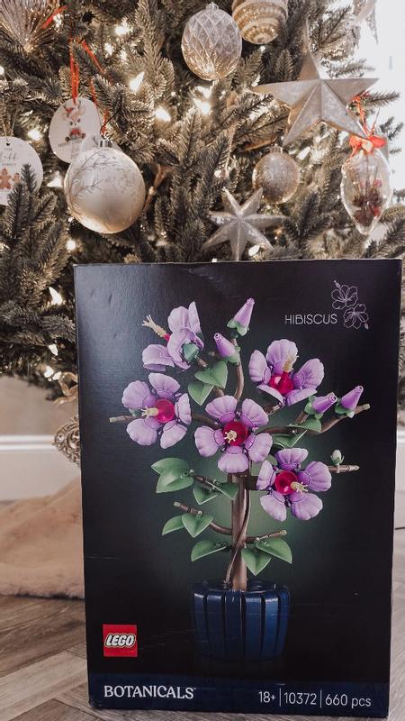 Photo - commentaire 4.