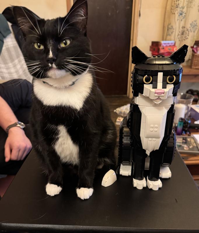 Photo - commentaire&nbsp;3.