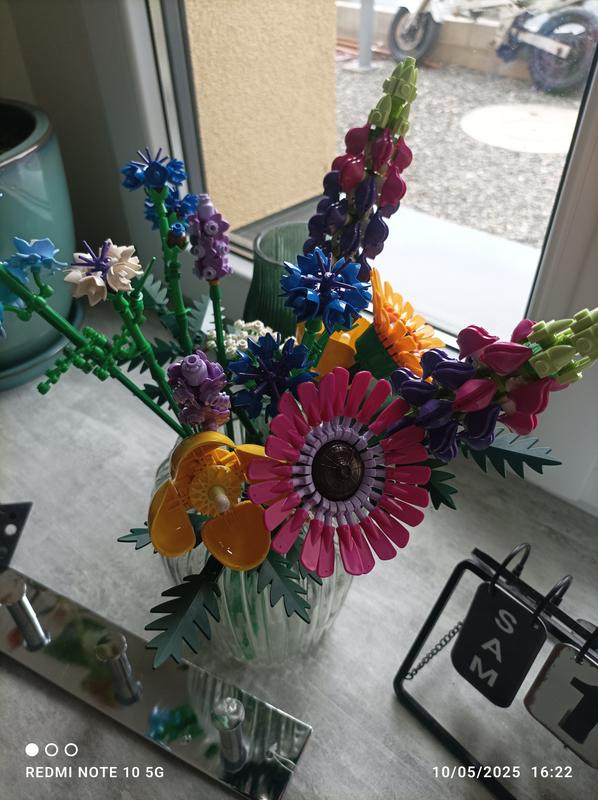 Photo - commentaire&nbsp;6.