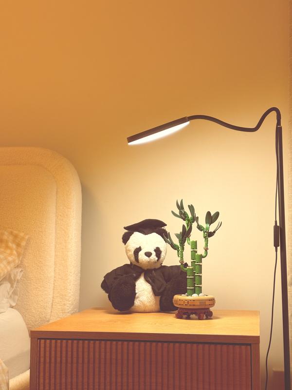 Photo from Renren
