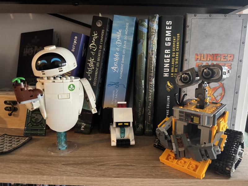 Photo - commentaire&nbsp;5.