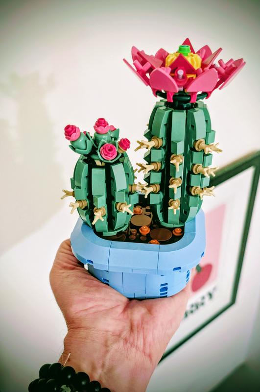 Review Thumbnail Image 0 1213138856