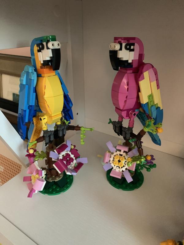 Photo - commentaire&nbsp;3.