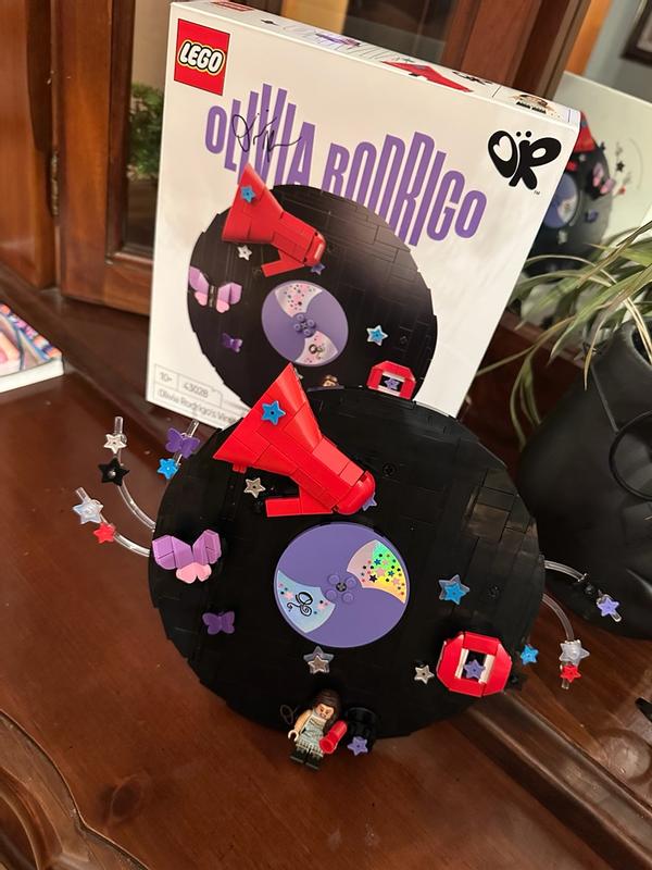 Customer photo for "Great family project. with the kids."
