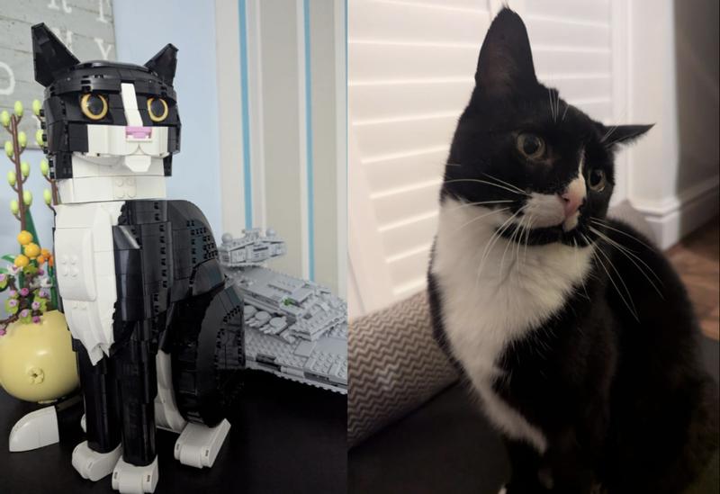LEGO Ideas Tuxedo Cat 21349 by LEGO Systems Inc. | Barnes LEGO Ideas Tuxedo Cat 21349 by LEGO Systems Inc. | Barnes