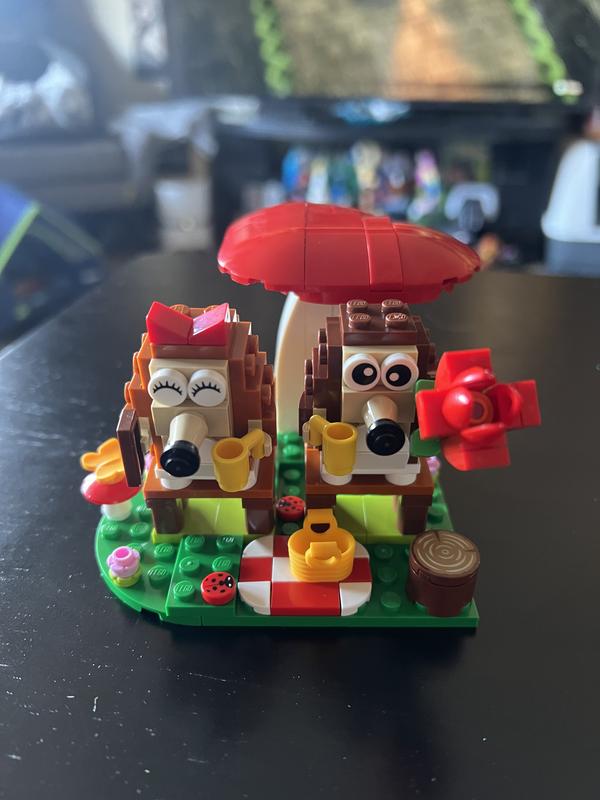 LEGO Iconic Hedgehog Picnic Date Building Toy Multicolored 166 pc in ...