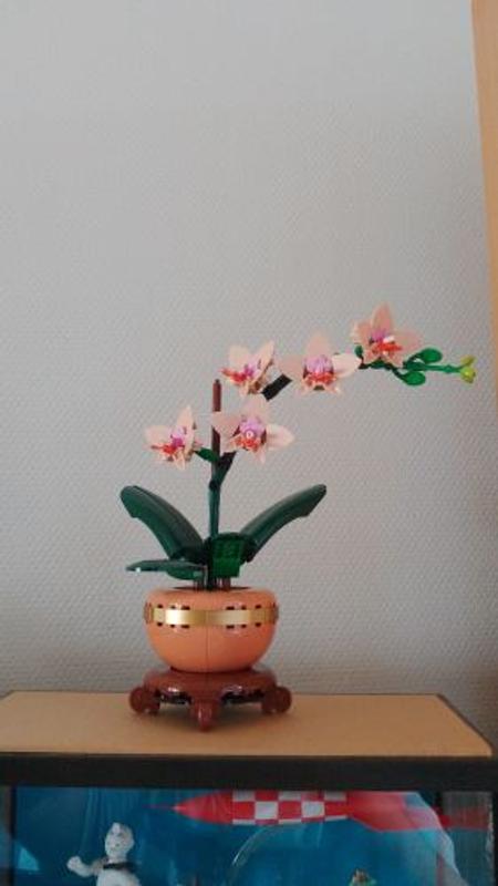 Photo - commentaire&nbsp;3.