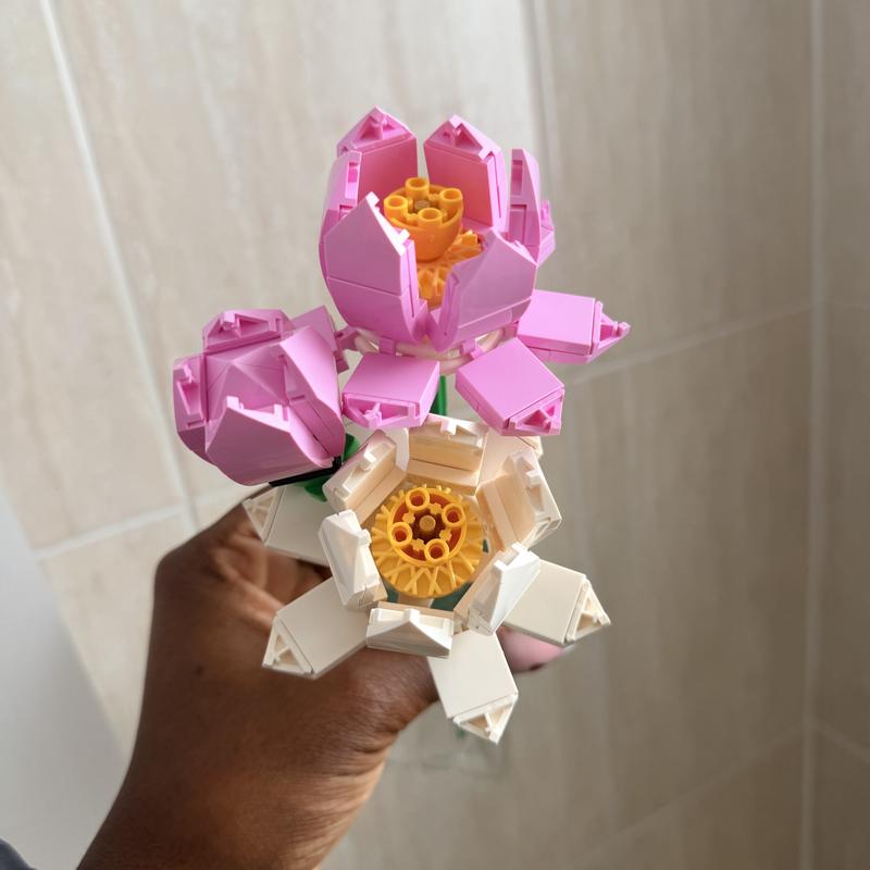 Photo - commentaire&nbsp;1.