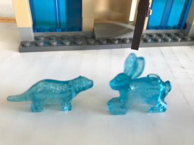 Photo - commentaire 8.