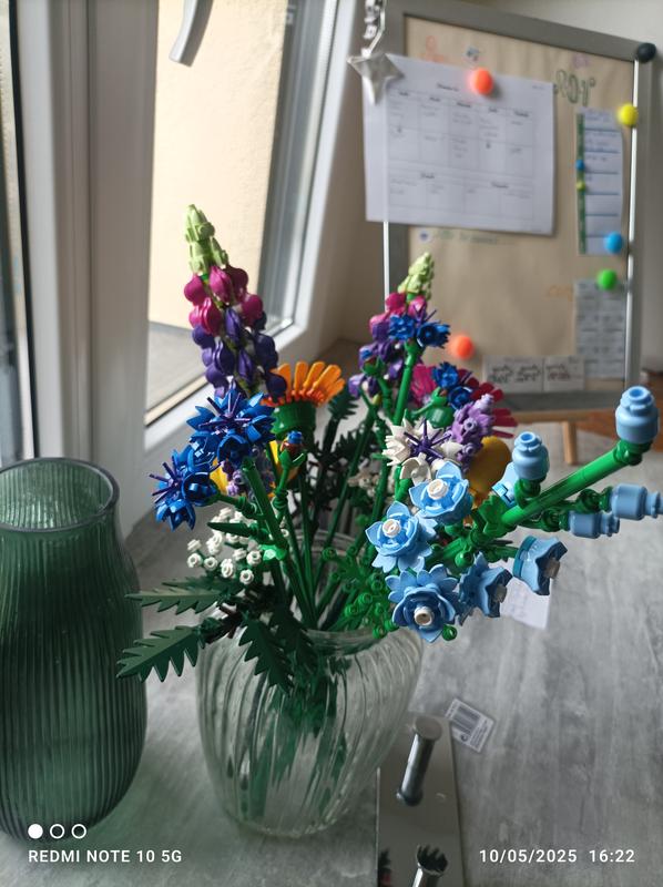 Photo - commentaire&nbsp;7.