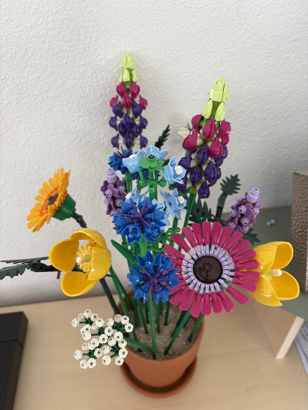 Photo - commentaire&nbsp;1.