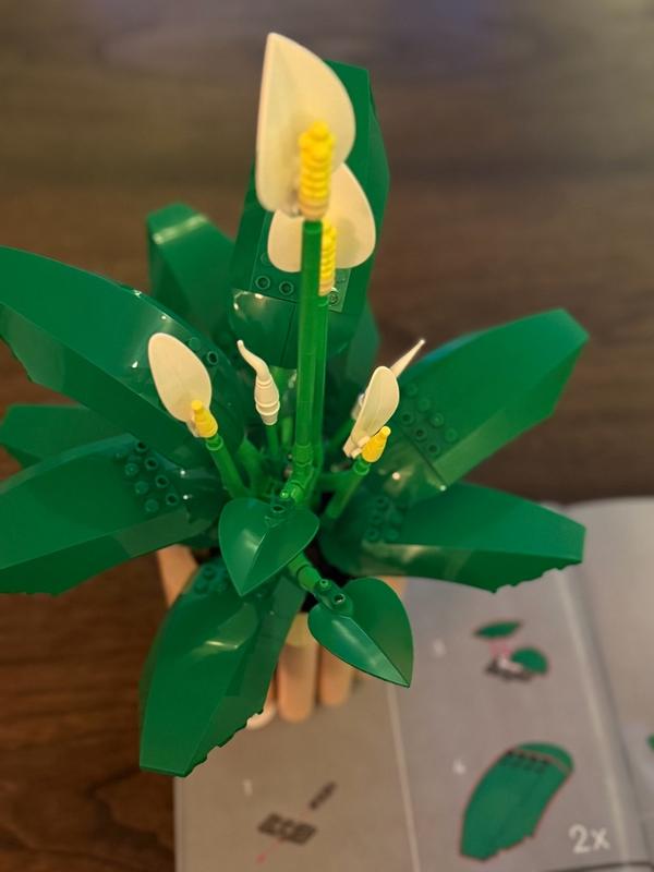 Review Thumbnail Image 2 1213513447