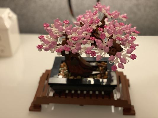 Barnes and noble online lego bonsai