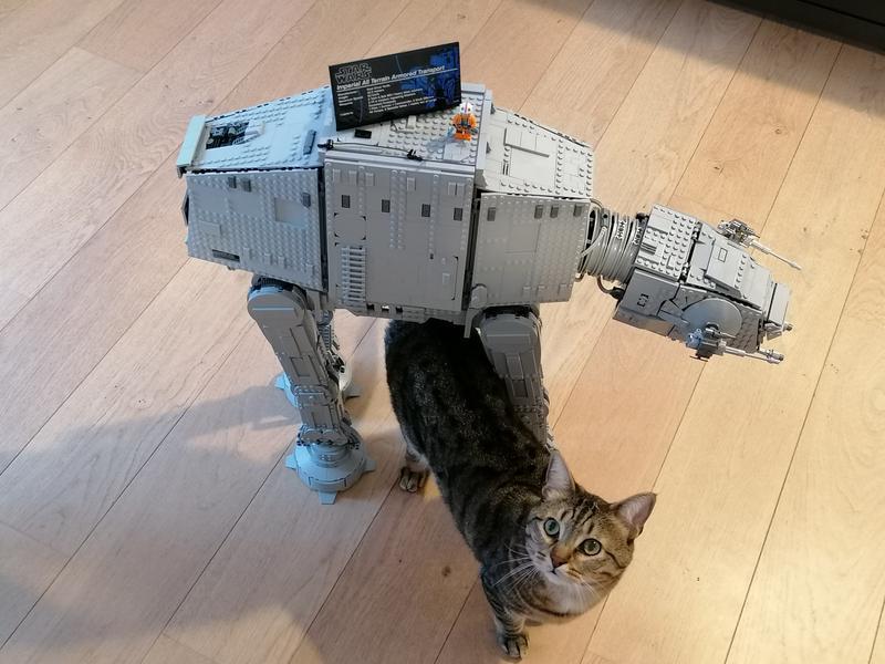 Photo - commentaire&nbsp;1.