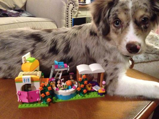 She decided it was worth cuddling with.