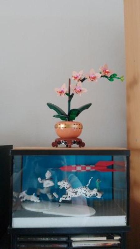 Photo - commentaire&nbsp;2.