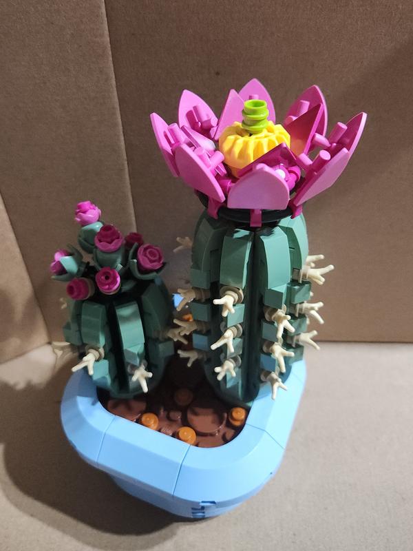 Customer carousel item 1.