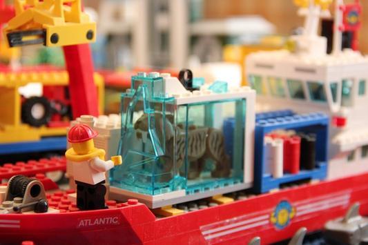 Photo - commentaire&nbsp;5.