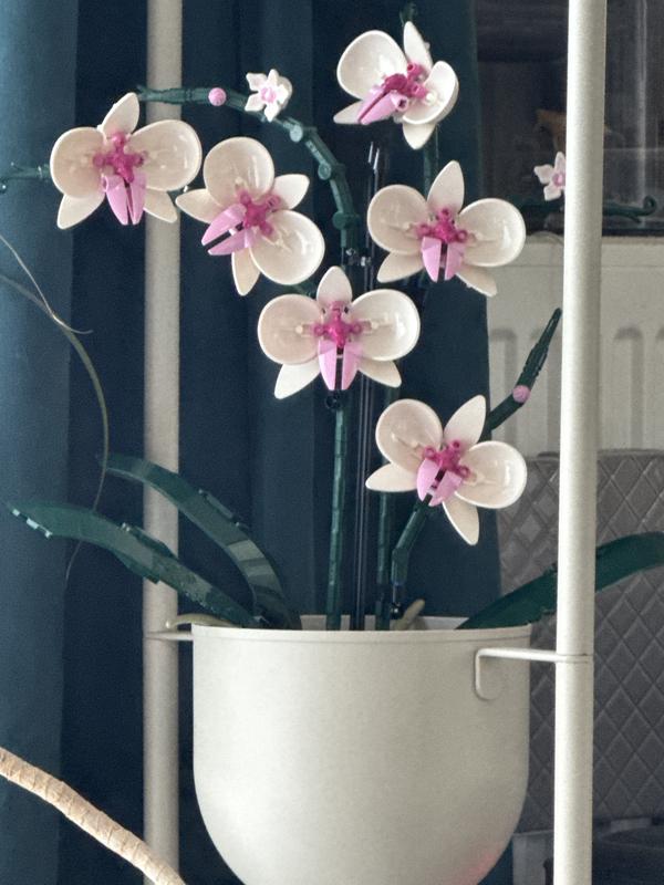 Photo - commentaire&nbsp;4.