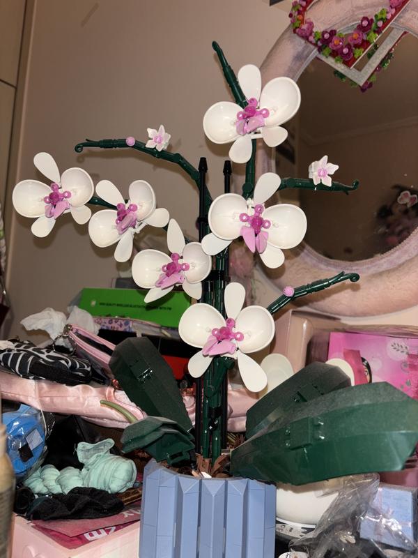 Photo - commentaire&nbsp;1.