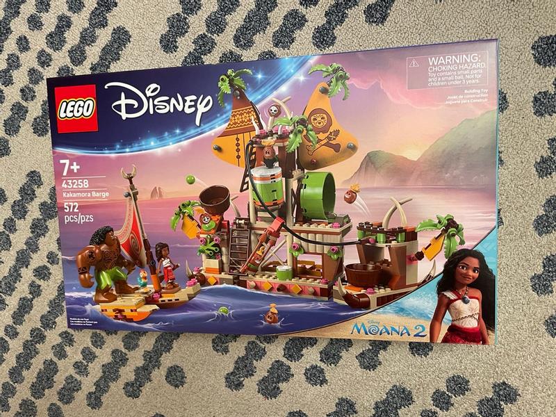 Photo - commentaire&nbsp;8.