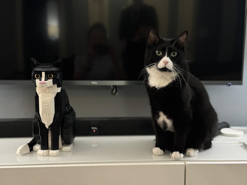 LEGO Ideas Tuxedo Cat Gift Idea for Animal-Lovers and Home Décor