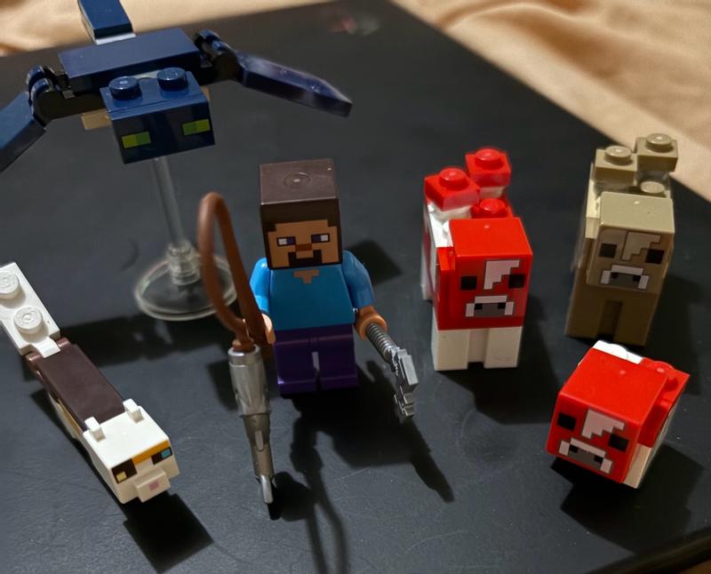 Photo - commentaire 3.