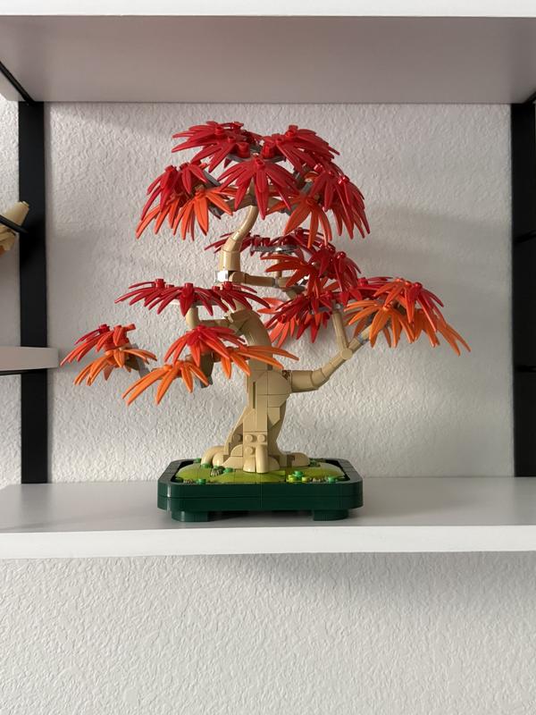 Review Thumbnail Image 0 1215406759