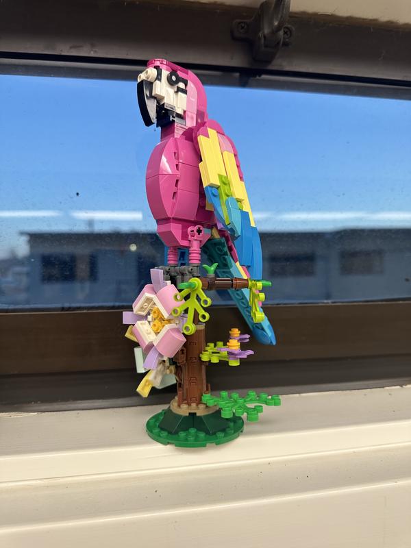 Photo - commentaire&nbsp;8.