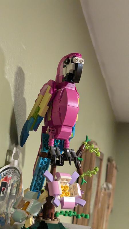 Photo - commentaire&nbsp;2.