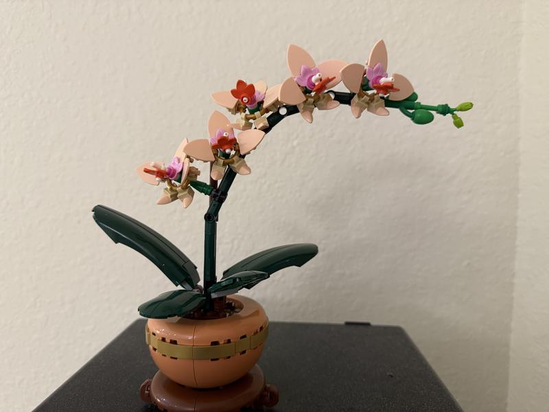 Photo from SeniorThoughtfulMouse103