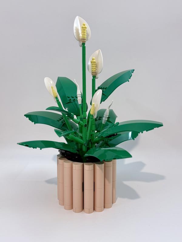 Review Thumbnail Image 1 1218366567