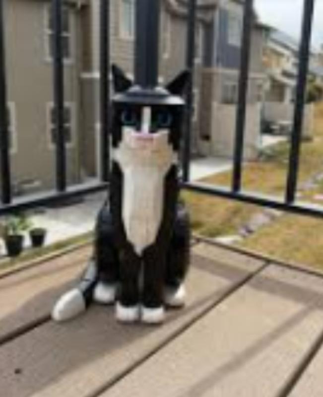 Customer carousel item 2.