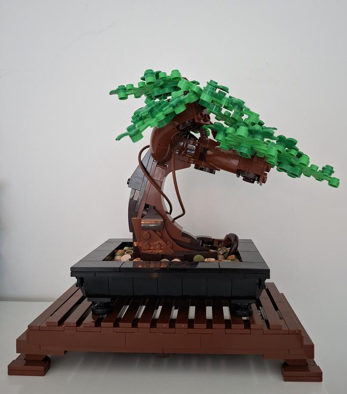 Photo - commentaire&nbsp;1.