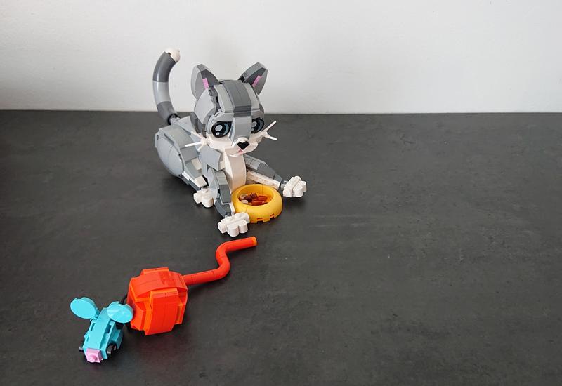 Photo - commentaire&nbsp;5.