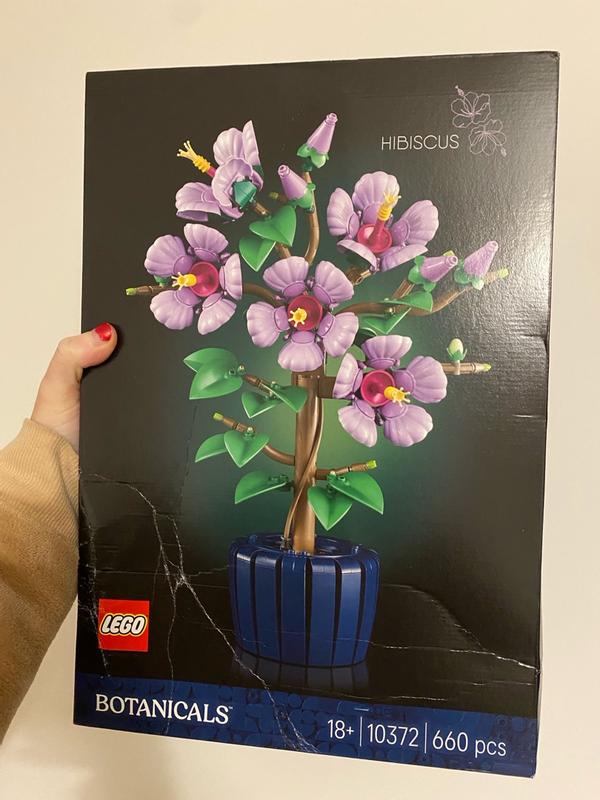 Photo from rebeccam596_2255