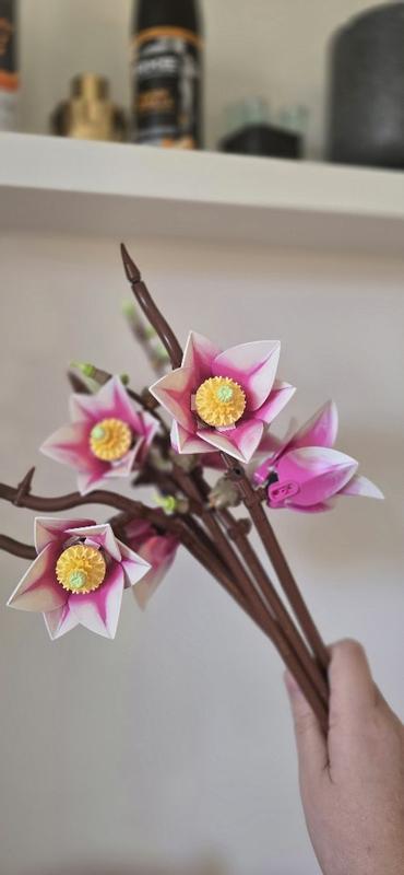 Review Thumbnail Image 1 1215582539