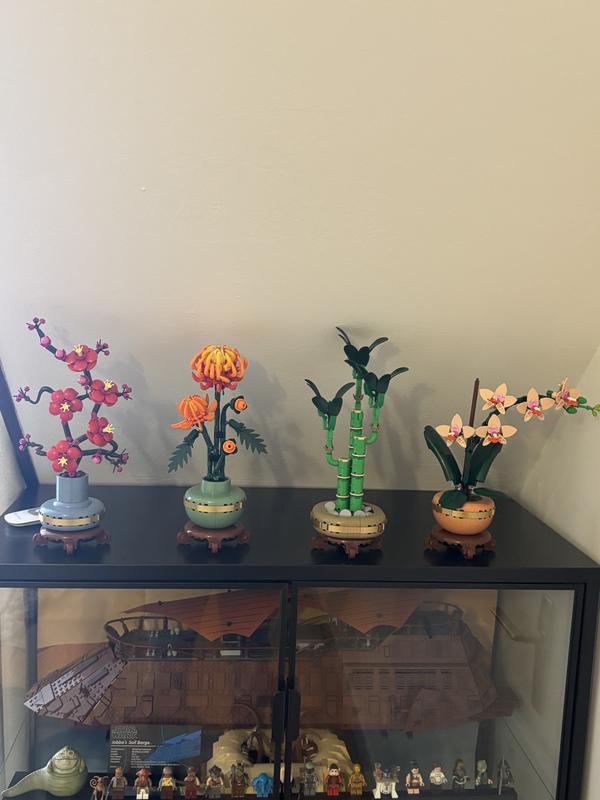 Photo - commentaire&nbsp;8.