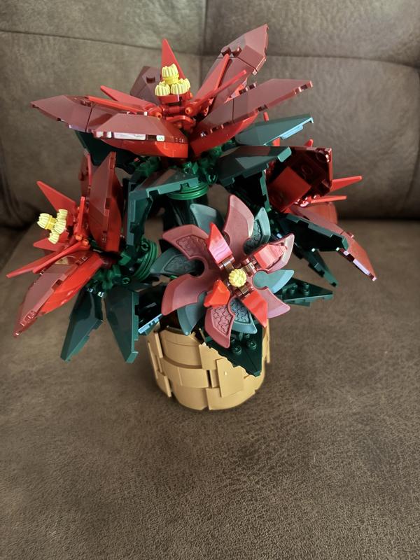 Photo - commentaire&nbsp;1.