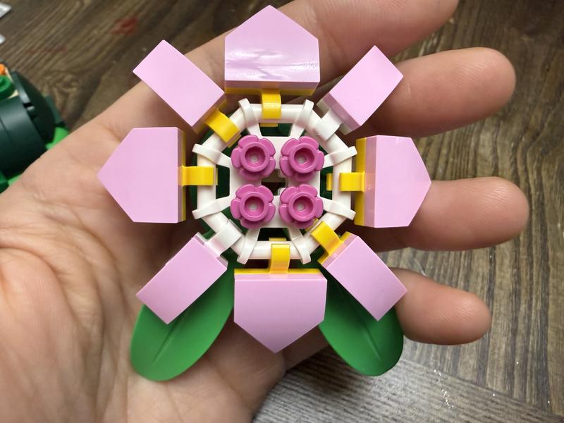 Review Thumbnail Image 1 1210102816