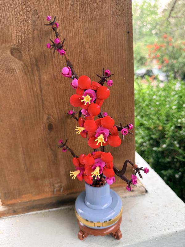 Customer photo for "plum blossom"