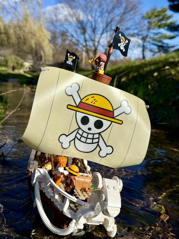 User generated review image 1