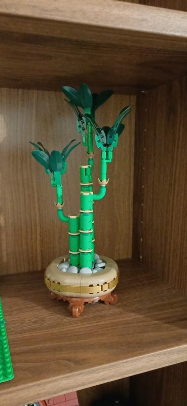 Photo - commentaire&nbsp;1.