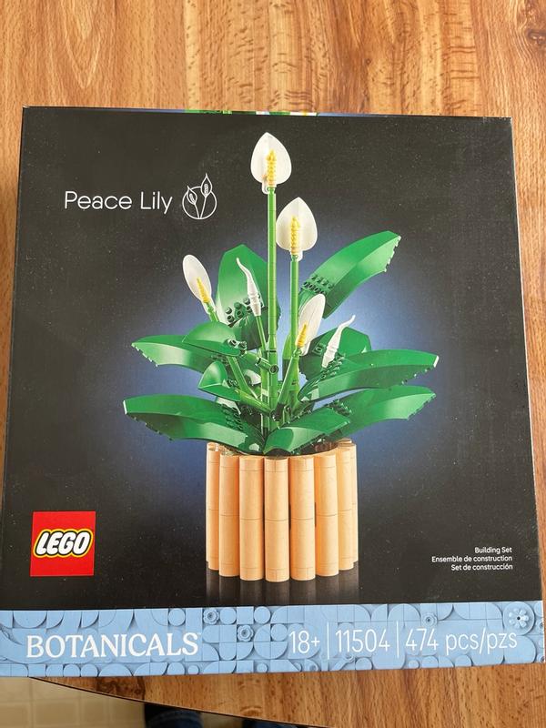 Review Thumbnail Image 2 1214634725