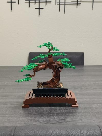 LEGO Adult Builders Expert Bonsai Tree 10281 by LEGO Systems Inc