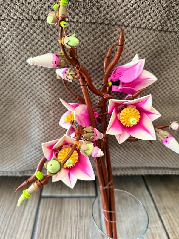 Review Thumbnail Image 1 1215848699