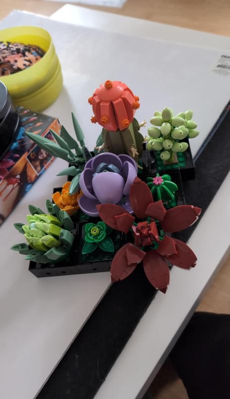 Photo - commentaire 4.