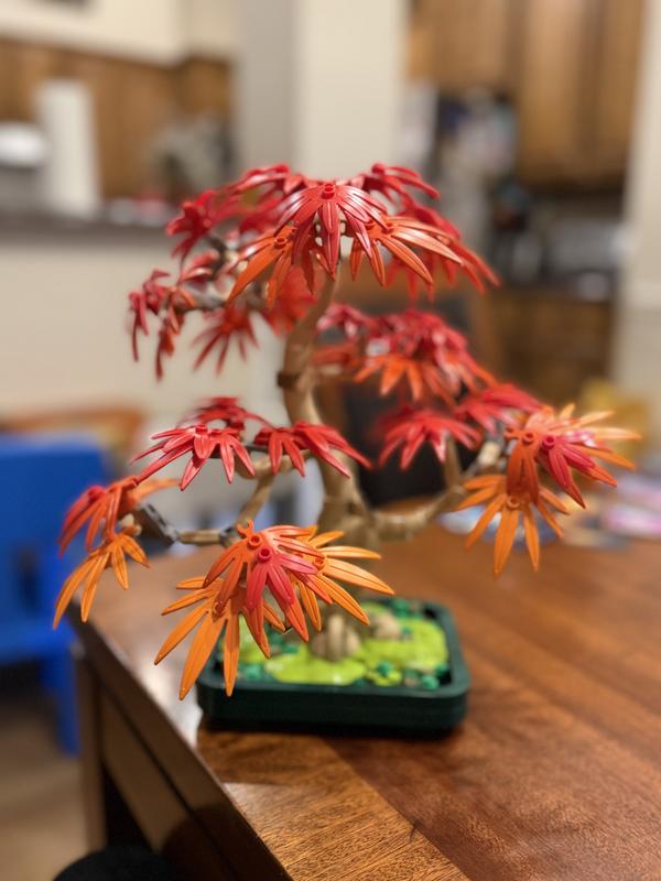 Review Thumbnail Image 0 1212792714