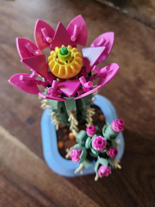 Review Thumbnail Image 0 1215649652