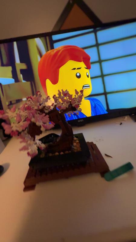 Photo - commentaire&nbsp;2.